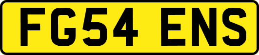 FG54ENS