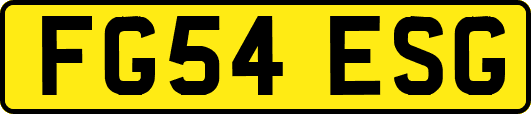 FG54ESG