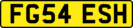 FG54ESH