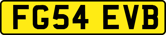 FG54EVB