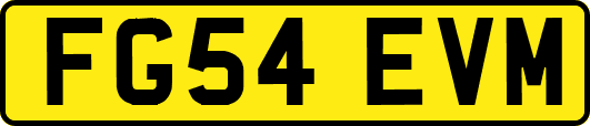 FG54EVM