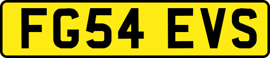FG54EVS