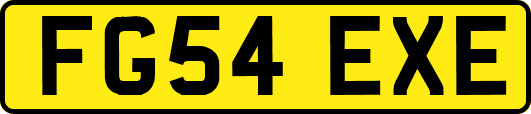 FG54EXE