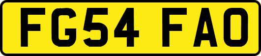 FG54FAO