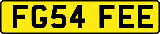 FG54FEE