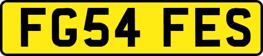 FG54FES