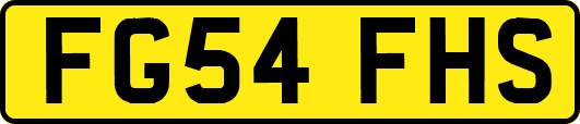 FG54FHS
