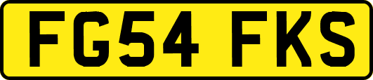 FG54FKS