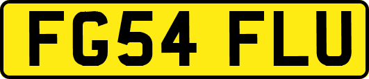 FG54FLU