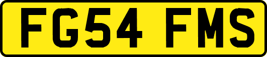 FG54FMS