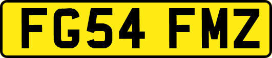 FG54FMZ