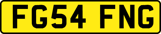 FG54FNG