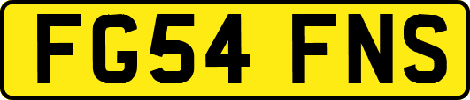 FG54FNS