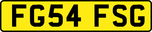 FG54FSG