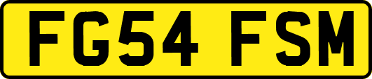 FG54FSM