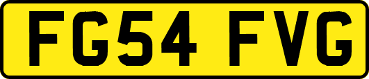 FG54FVG