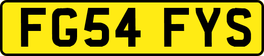 FG54FYS