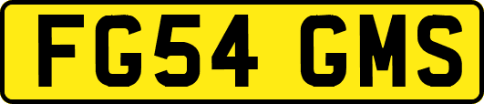 FG54GMS