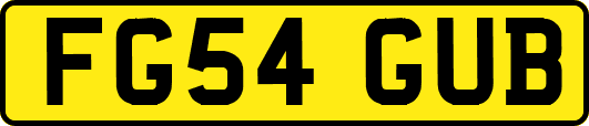 FG54GUB