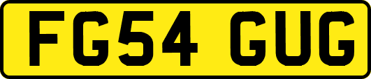 FG54GUG
