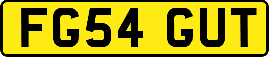 FG54GUT