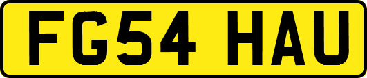 FG54HAU