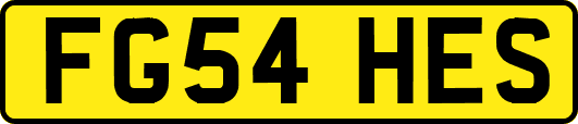 FG54HES