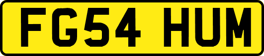FG54HUM