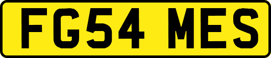 FG54MES
