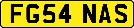 FG54NAS