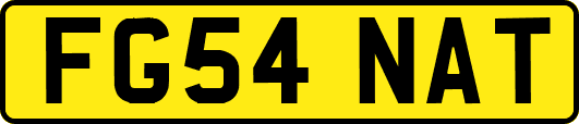 FG54NAT