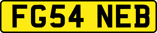 FG54NEB