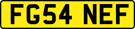 FG54NEF