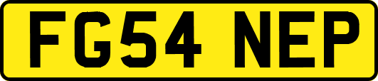 FG54NEP