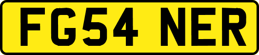 FG54NER