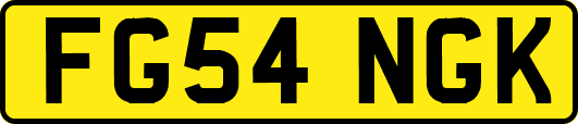 FG54NGK