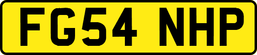 FG54NHP