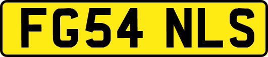 FG54NLS