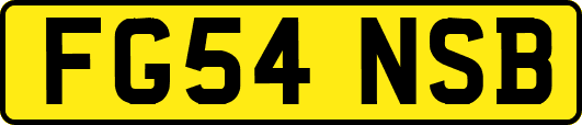 FG54NSB
