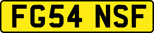 FG54NSF