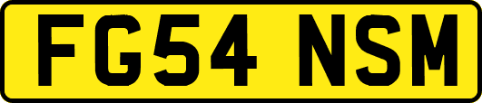 FG54NSM