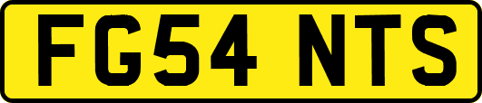 FG54NTS
