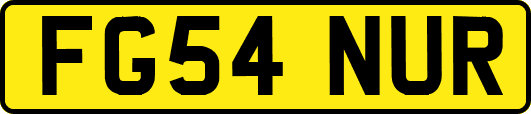 FG54NUR