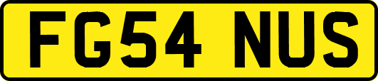 FG54NUS