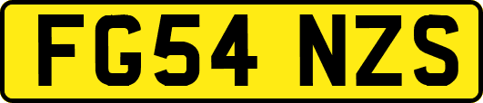 FG54NZS