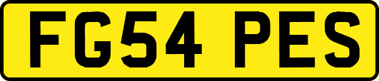 FG54PES