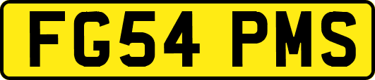 FG54PMS