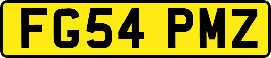 FG54PMZ