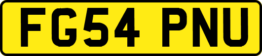 FG54PNU