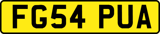 FG54PUA